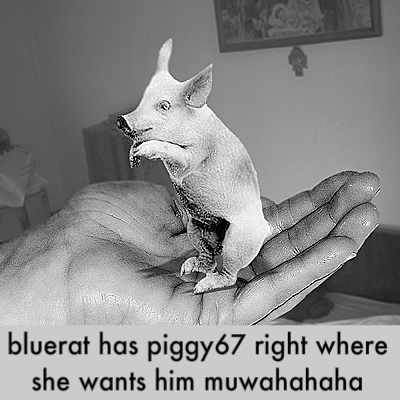 web_lg_POS29_pig-1.jpg