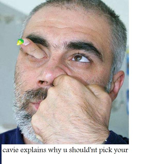 cavie 1.jpg