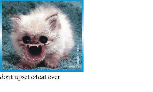 c4cat1.jpg