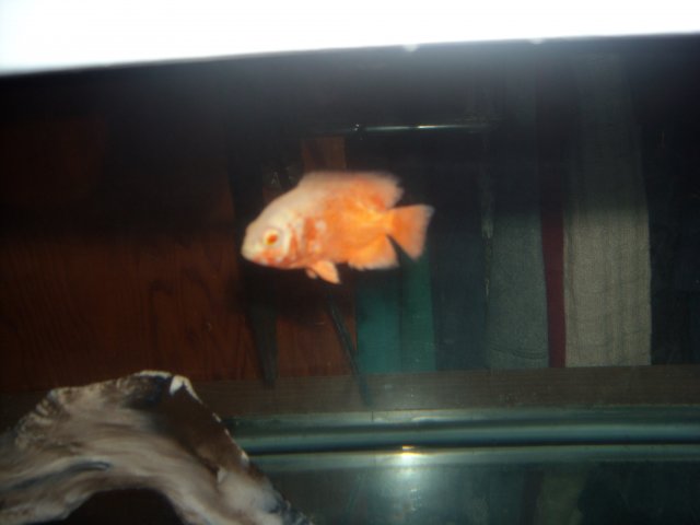 DSCN0314.JPG