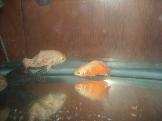 DSCN0299.JPG