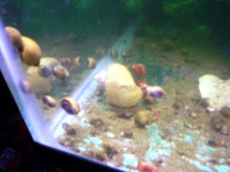 100_0443.JPG