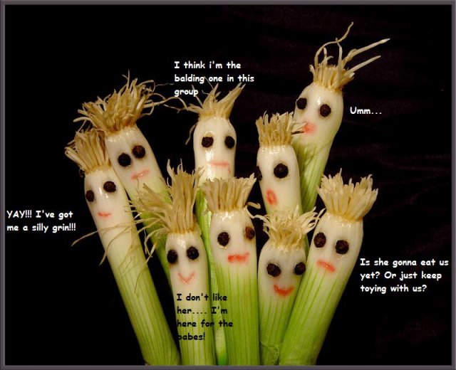 Silly Scallions.jpg