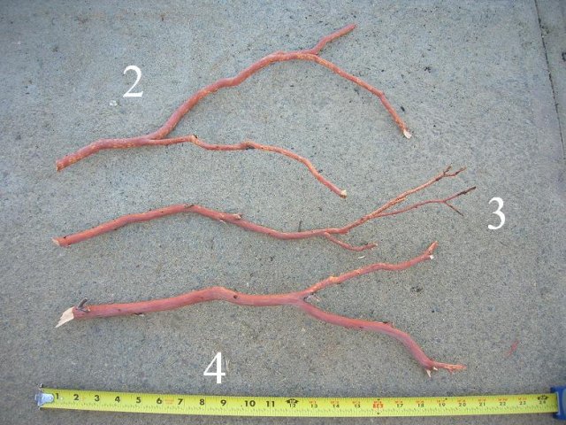 DSCN3257.JPG