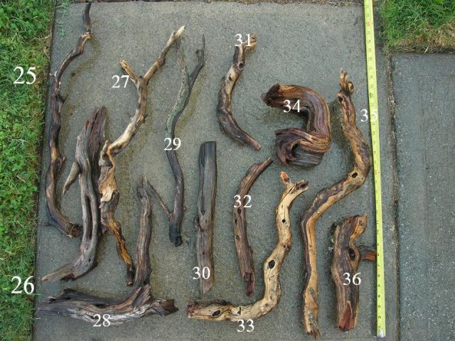DSCN3289.JPG