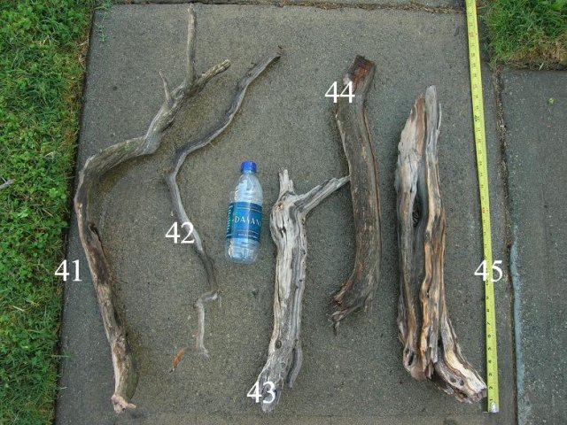 DSCN3292.JPG