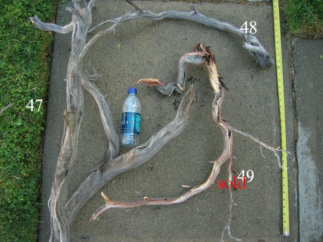 DSCN3299.JPG
