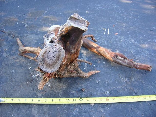DSCN3352.JPG