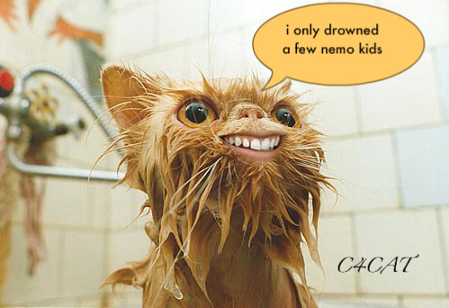 weird-cat-1.jpg