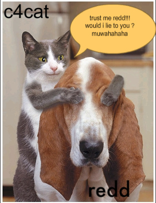 catblog1-1.jpg