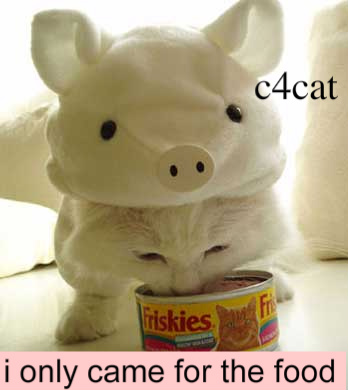pig2-1.jpg