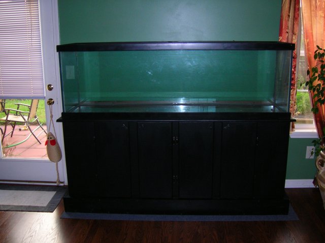 Tank1.jpg Tank1.jpg