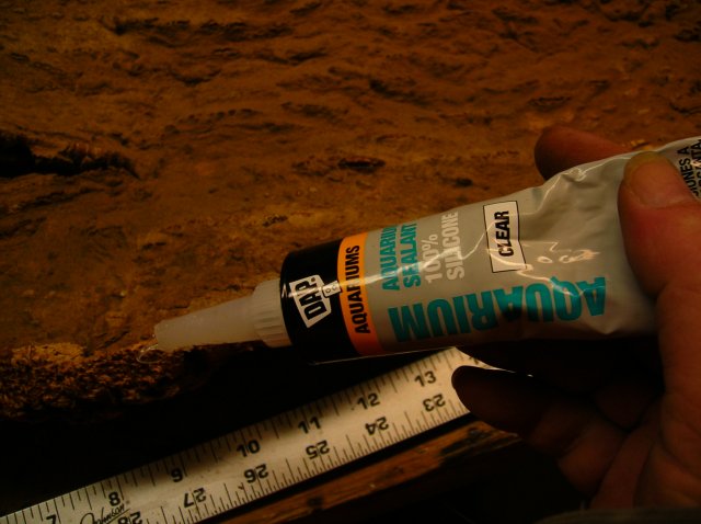 Barkglue.jpg Barkglue.jpg