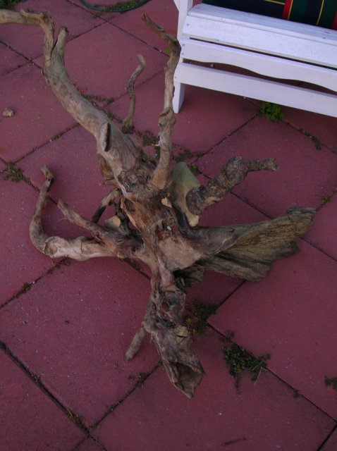 stump1.jpg stump1.jpg