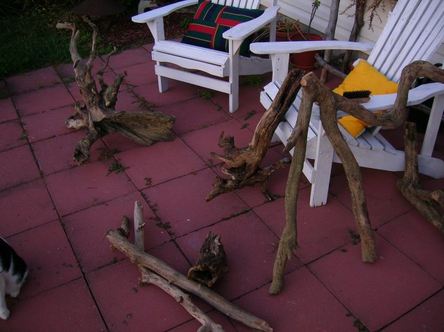 stump2.jpg stump2.jpg