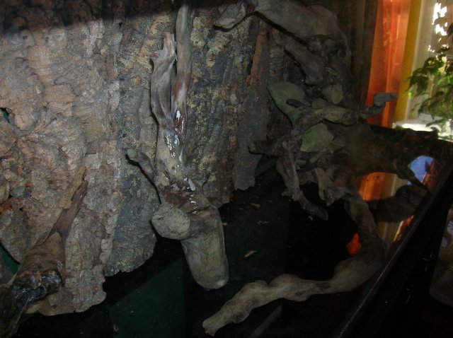 tankscape.jpg tankscape.jpg