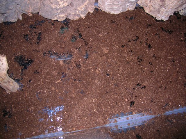 peat.jpg peat.jpg