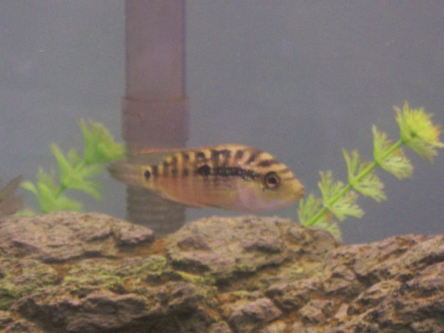 100_0601.JPG