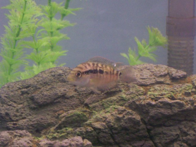 100_0602.JPG