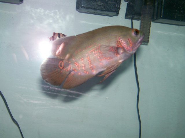 100_0519.JPG