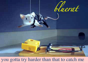 funny_animals_pictures_2-2.jpg