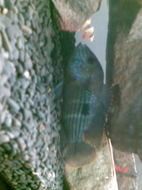 Image001.jpg