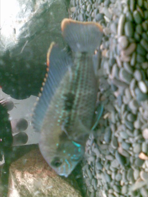Image016.jpg
