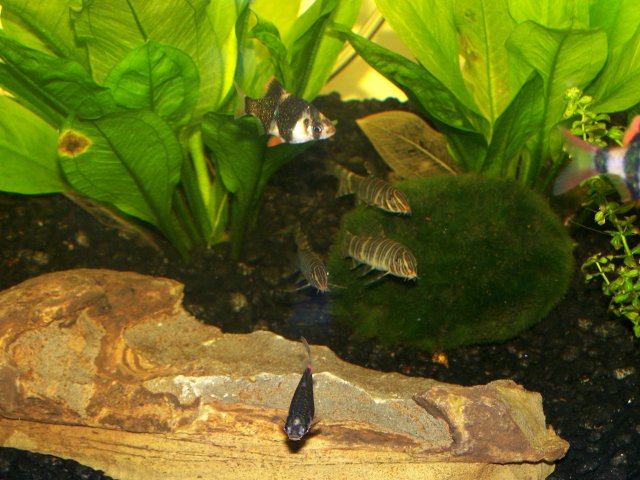 100_1426.JPG