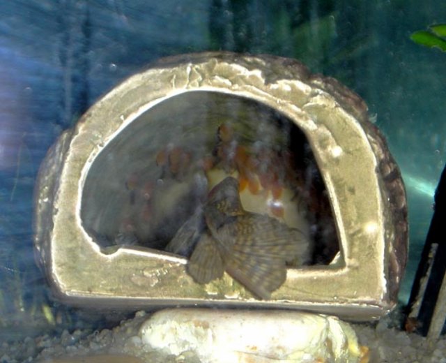 DSCN4061.JPG