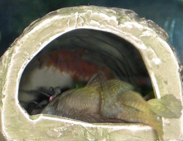 DSCN4078.JPG