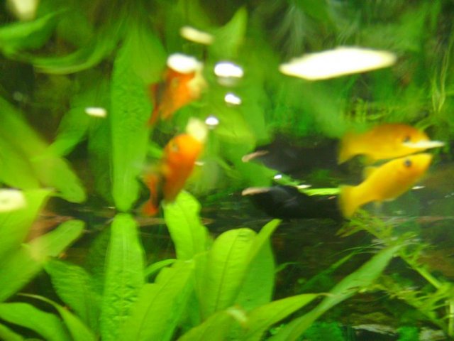 PICT0099.JPG
