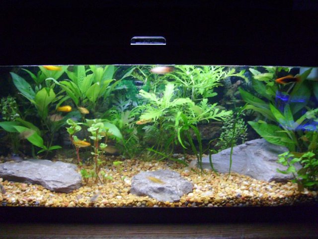 PICT0102.JPG