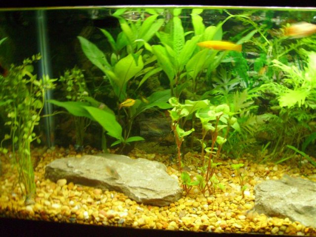 PICT0103.JPG