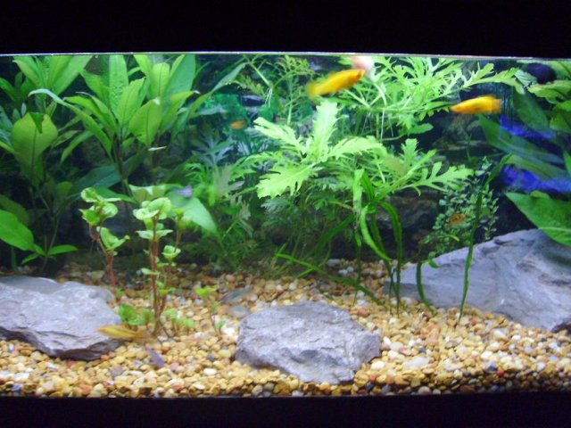 PICT0104.JPG