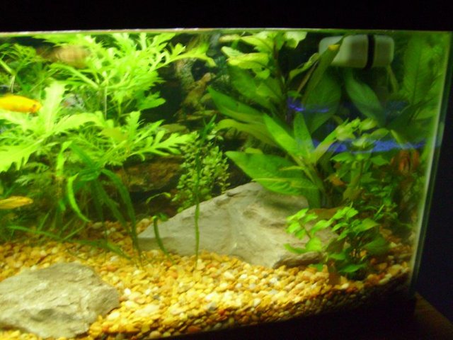PICT0105.JPG