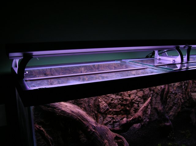DSCN1421.JPG