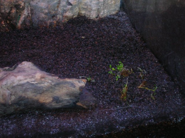 DSCN1419.JPG