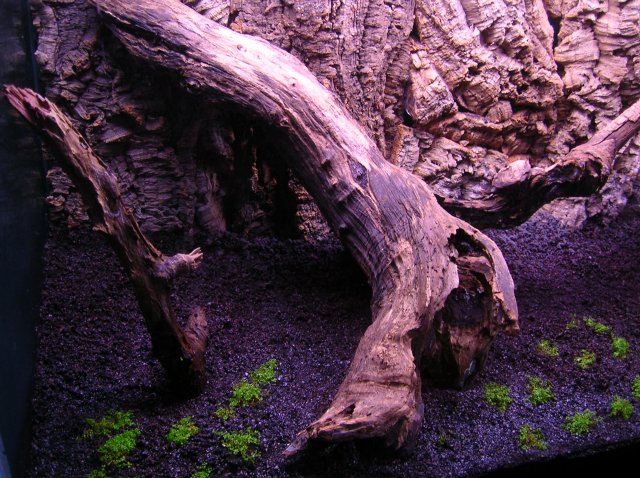 DSCN1417.JPG