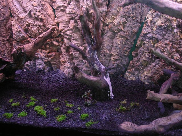 DSCN1420.JPG