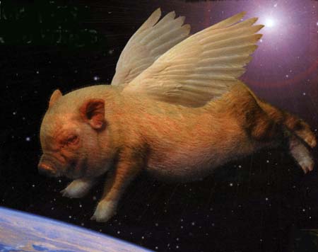 piggy.jpg