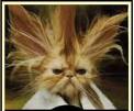 AI6G2SZCAKNH4M7CA1W1ZWKCALMQ845CAOKODPECAW5AMW1CAT9GQMJCA07SS6GCA9G0S3LCA3GCZ12CAUEJOASCAQJROFCC.jpg