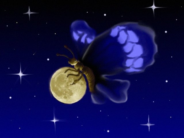 noctural-butterfly-alien.jpg noctural-butterfly-alien.jpg