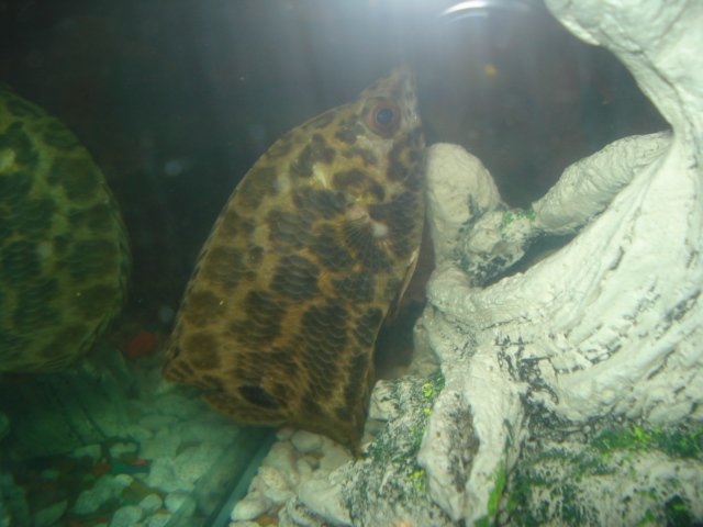 DSC01725.JPG
