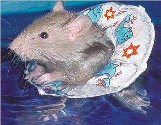 HelpUsDrownTheRats.jpg