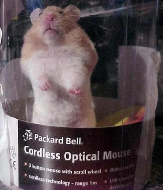 584-cordless-mouse.jpg