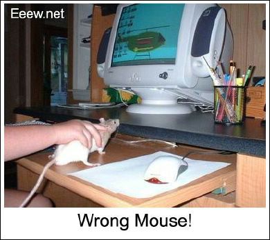 funny_1567.jpg