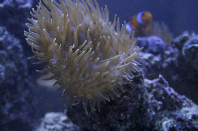 CRW_5581.jpg