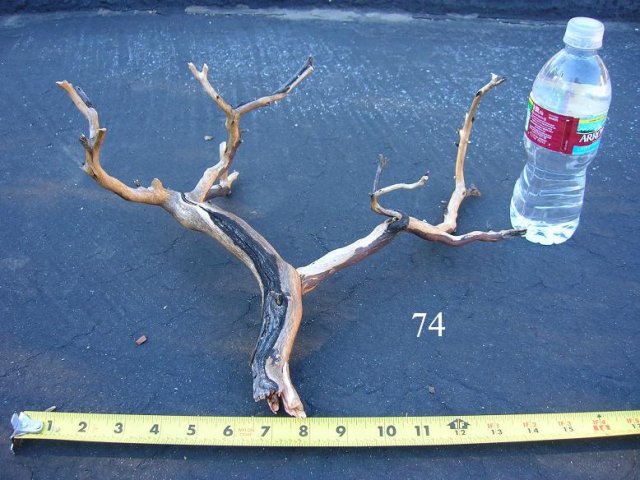 DSCN3370.JPG
