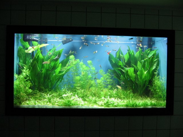 STA_0001_2.JPG