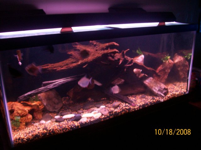 100_1119.jpg